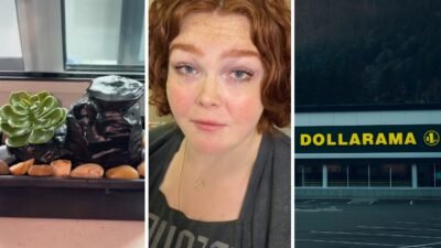 Toronto woman buys cute fountain from Dollarama. Then she plugs it in—and almost burns down her house: It was only 